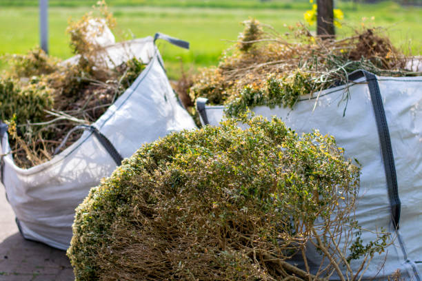 Shed Removal in Pinecrest, FL